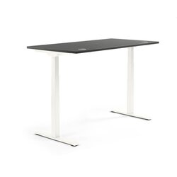 Neutralware 810061491 Schreibtisch 2000x605-1255x800 anthrazit Gestell ws