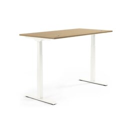 Neutralware 810061471 Schreibtisch 2000x605-1255x800 Eiche hell Gestell ws