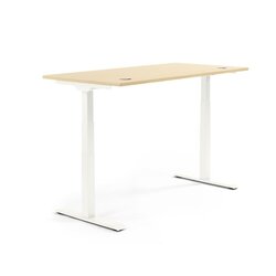 Neutralware 810061479 Schreibtisch 2000x605-1255x800  Ahorn Gestell ws