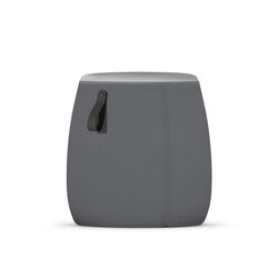 Sedus PF-905/004 Hocker se:dot hoch eisengrau 