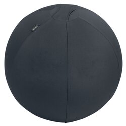 Leitz 65420089 Sitzball Active 65cm gr 
