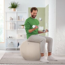 Leitz Sitzball Ergo Active 65 cm
