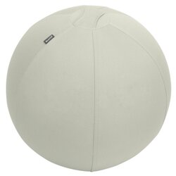 Leitz 65420085 Sitzball Active 65cm h.gr 