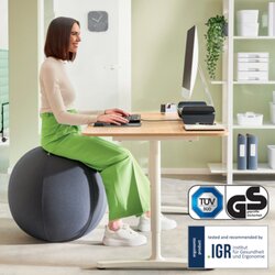Leitz Sitzball Ergo Active 65 cm