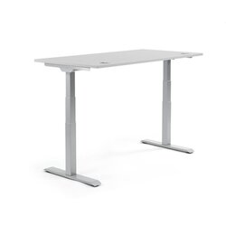 Neutralware 810060781 Schreibtisch 1200x605-1255x800 lichtgrau Gestell si