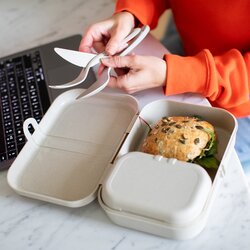 Koziol Lunchbox PASCAL READY