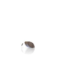 magnetoplan® 1665451 Magnet Wood Series Circle 30mm Walnuss 4St