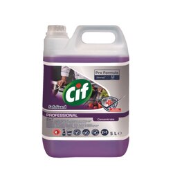 CIF 101107392 Desinfektionsreinger Pro Formula SafeGuard 5l
