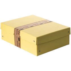 Falken 22001936 Aufbewahrungsbox PURE Box Pastell A4 100mm gelb