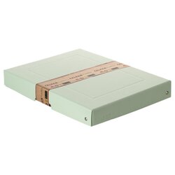 Falken 22001904 Aufbewahrungsbox PURE Box Pastell A4 40mm grün