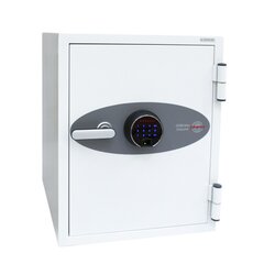 Phoenix DS2501F Datenschutztresor Data Combi Fingerabdruckschloss