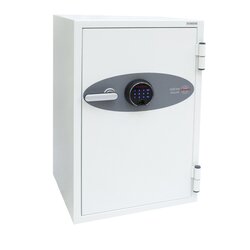 Phoenix DS2502F Datenschutztresor Data Combi Fingerabdruckschloss