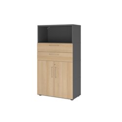 Hammerbacher VFW48K2KGGEBS Schrank FlexWall 4OH graphit/eiche