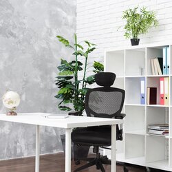 hjh OFFICE Bürodrehstuhl VENUS BASE mit Kopfstütze