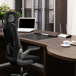 hjh OFFICE Bürodrehstuhl INSTRUCTOR T I PRO Titan XXL mit Kopfstütze
