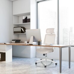 hjh OFFICE Bürodrehstuhl MIKEO W mit Kopfstütze