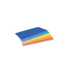 magnetoplan® 112501540 Moderationskarte Rainb. 200x100mm sort. 250St.