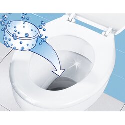 Maximex WC-Reiniger