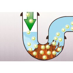 Maximex Abflussreiniger BIO