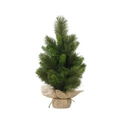 EVERLANDS 681203 Weihnachtsbaum Edmonton Spruce 60cm gn