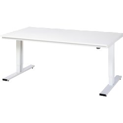 RAU 8WT200100M Werktisch 2000x1000x720-1120 el M-Platte 22mm lgr