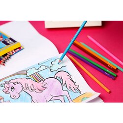 Paper Mate Buntstift 24 St./Pack.