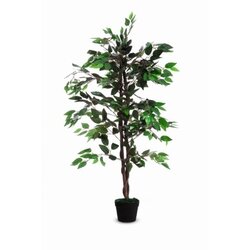 Paperflow PAFIC120 Kunstpflanze Feigenbaum 120cm 