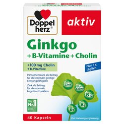 Doppelherz 71813 Ginkgo  +B-Vitamine +Cholin 40St