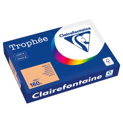 Clairefontaine 1011PC Kopierpapier A4 160g aprikose 250Bl