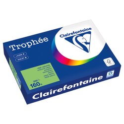 Clairefontaine 1025PC Kopierpapier A4 160g maigrün 250Bl