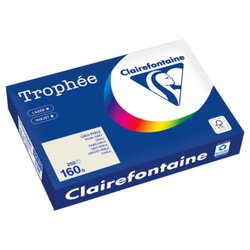Clairefontaine 1041PC Kopierpapier A4 160g grau 250Bl