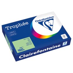 Clairefontaine 1107PC Kopierpapier A4 160g grün 250Bl
