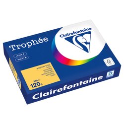 Clairefontaine 1206PC Kopierpapier A4 120g goldgelb 250Bl
