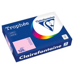 Clairefontaine 1210PC Kopierpapier A4 120g rosa 250Bl