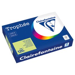 Clairefontaine 1228PC Kopierpapier A4 120g naturgrün 250Bl