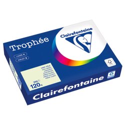 Clairefontaine 1246PC Kopierpapier A4 120g lindgrün 250Bl