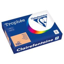 Clairefontaine 1275PC Kopierpapier A4 120g aprikose 250Bl