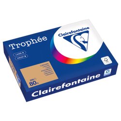 Clairefontaine 1879PC Kopierpapier A4 80g camel 500Bl