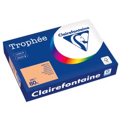 Clairefontaine 1995PC Kopierpapier A4 80g aprikose 500Bl