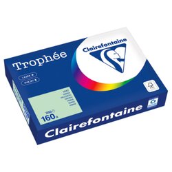 Clairefontaine 2635PC Kopierpapier A4 160g hellgrün 250Bl