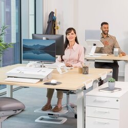 Fellowes® Fußstütze Hana™ LT