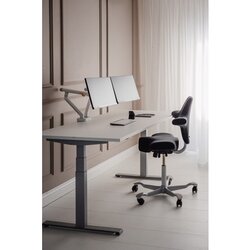 BakkerElkhuizen Monitorschwenkarm BE Flexible Dual