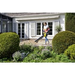Kärcher Laubsauger BLV 18-200 Battery Zubehör erforderlich