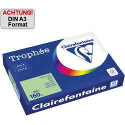 Clairefontaine 1114PC Kopierpapier A3 160g grün 250Bl