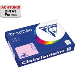 Clairefontaine 1310PC Kopierpapier A3 120g rosa 250Bl