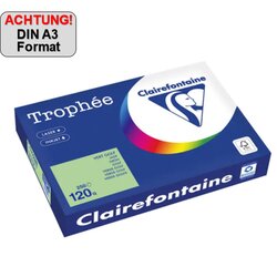 Clairefontaine 1315PC Kopierpapier A3 120g grün 250Bl