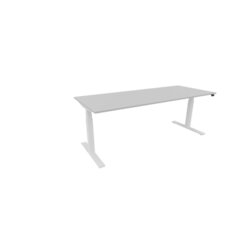 NowyStyl 810073894 Schreibtisch eModel 3.0 200x80 ws/platinum