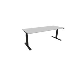 NowyStyl 810073994 Schreibtisch eModel 3.0 200x80 sw/platinum