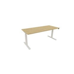NowyStyl 810073471 Schreibtisch eModel 3.0 180x80 ws/hamilton oak
