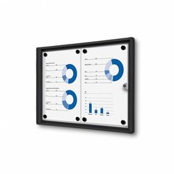 Showdown® Displays SCXS2xA4C9005 Schaukasten Economy 2xA4 sw 